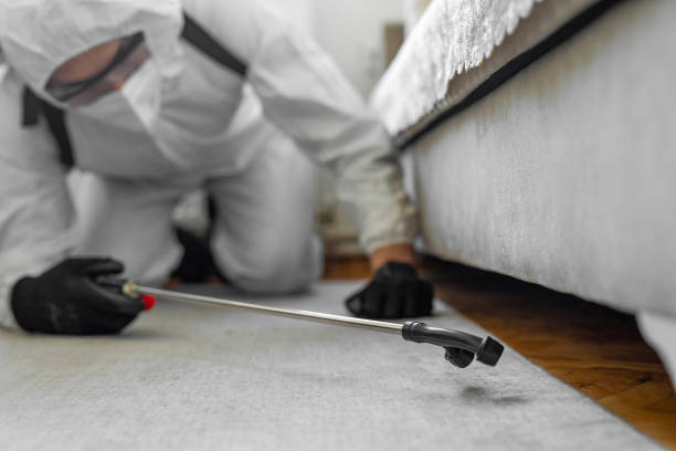 Professional Ant Control technician working in Nassau County County, FL